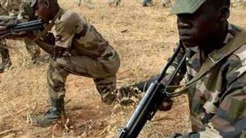 الجيش النيجري يعلن تحييد 205 إرهابيين خلال شهر نوفمبر