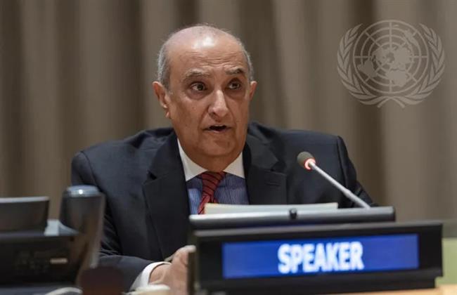 السفير ماجد عبدالفتاح: بحث تجميد عضوية إسرائيل "وارد" ولا مشروع لطردها حتى الآن