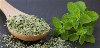 البردقوش ..لصحة المرأة