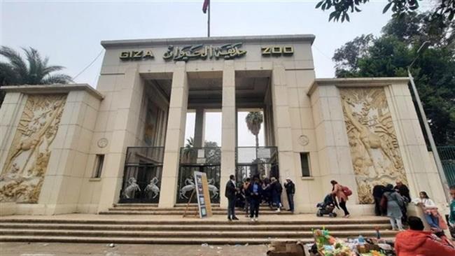 تفاصيل مشروع تطوير حديقة الحيوان بالجيزة.. وموعد بدء تشغيلها تجريبيًا