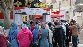 انطلاق التصويت بالخارج في الدوائر الملغاة.. المراحل المتبقية في انتخابات مجلس النواب 2025