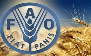 "الفاو" تطلب 5.2 مليون دولار لدعم 98.4 ألف مستفيد في الأردن خلال 2026
