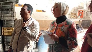 محافظ الدقهلية: ضبط 1.6 طن لحوم وأسماك في حملات مكثفة للرقابة على المنتجات الغذائية والأسواق