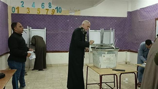 المصريون بالخارج يصوتون في الدوائر الملغاة بالمرحلة الأولى لانتخابات النواب