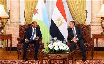 مشاورات سياسية بين وزير الخارجية ونظيره الجيبوتي