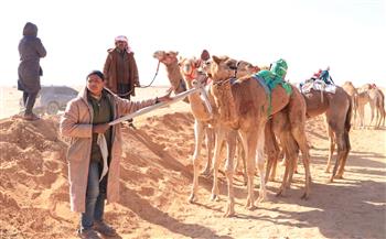 انطلاق فعاليات مهرجان الإسماعيلية العشرين لسباق الهجن