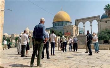 الأوقاف الإسلامية بالقدس: 530 مستوطنًا اقتحموا المسجد الأقصى صباح اليوم