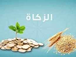  قيمة زكاة الفطر 2025.. الإفتاء توضح الفئات المستحقة لها وآخر موعد لإخراجها