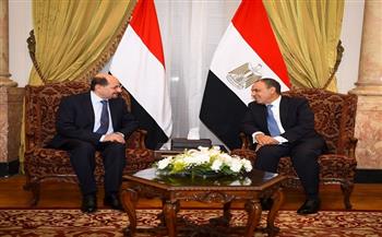وزير الخارجية يستعرض الجهود المصرية لتقديم أوجه الدعم المختلفة للشعب اليمني