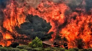 بعد تراجع شدة حرائق الغابات.. اليابان تلغي جزئيا أوامر الإجلاء لعدد من مناطق شمال شرق البلاد