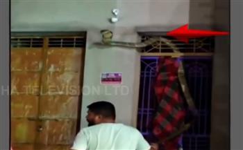مفاجأة صادمة.. ثعبان ضخم يرعب الجميع في فندق بالهند (فيديو)
