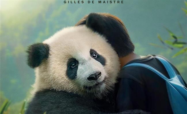 فيلم Moon the Panda في دور العرض المصرية