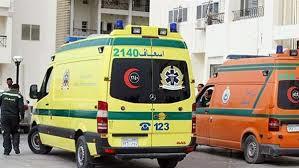 مسعفان يعيدان أمانات ضحايا حادث بالمنيا تتجاوز قيمتها 6.5 مليون جنيه
