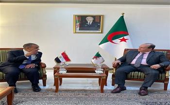 وزير الخارجية يبحث مع وزير الصناعة والإنتاج الصيدلاني الجزائري العلاقات الثنائية 