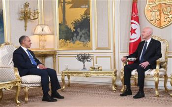 وزير الخارجية يبحث مع الرئيس التونسي جهود مصر لاستئناف تنفيذ اتفاق وقف إطلاق النار في غزة