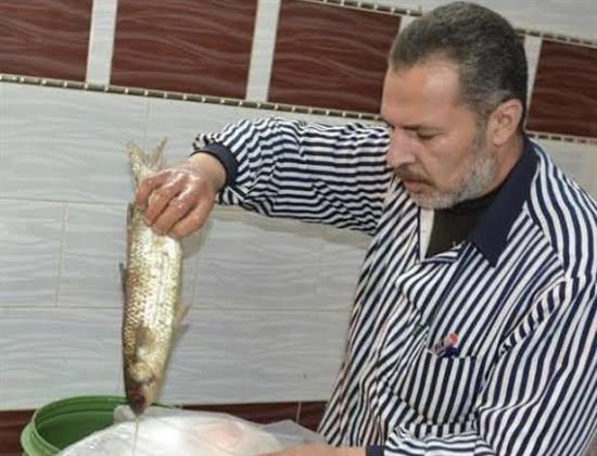 نجوم الكرة والفن أشهر الزبائن  «نبروه».. قلعة صناعة الفسيخ