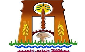 الوادي الجديد: حملات رقابية لضبط الأسماك المملحة غير الصالحة للاستهلاك الآدمي استعدادا لعيد شم النسيم