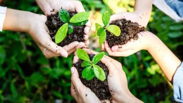 حدث في مثل هذا اليوم 22 أبريل.. الاحتفال بيوم الأرض وميلاد سماح أنور