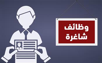 كيفية التقديم على الوظائف الحكومية الشاغرة 2025