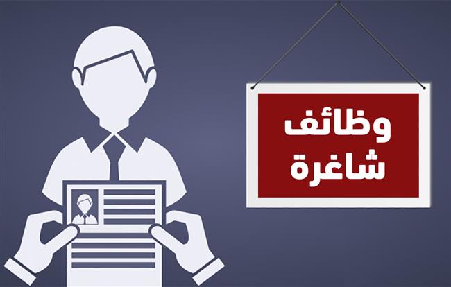 كيفية التقديم على الوظائف الحكومية الشاغرة 2025