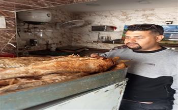 تحصين 300 الف رأس ماشية ضد الحمى القلاعية.. وضبط 91 طن مصنعات لحوم فاسدة خلال 3 أشهر بالجيزة