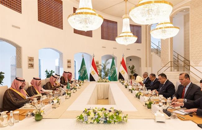 وزير الخارجية يترأس وفد مصر في أعمال لجنة المتابعة والتشاور السياسي مع السعودية في الرياض 