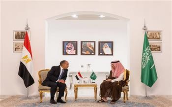 وزيرا خارجية مصر والسعودية يتبادلان الرؤى حول مختلف القضايا الإقليمية ذات الاهتمام المشترك