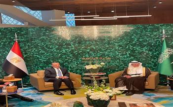 وزير الخارجية يؤكد تطلع مصر لإطلاق المزيد من الشراكات الاستراتيجية مع السعودية في قطاعات النفط