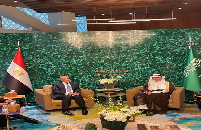 وزير الخارجية يؤكد تطلع مصر لإطلاق المزيد من الشراكات الاستراتيجية مع السعودية في قطاعات النفط