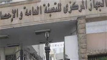 «الإحصاء»: 620 ألف فرد يعملون بالقطاع العام والأعمال العامة عام 2024 