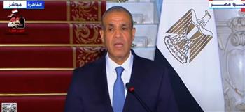 «عبد العاطي»: سنعقد مؤتمر القاهرة لتنفيذ خطة إعادة إعمار غزة بمجرد التوصل إلى وقف إطلاق النار