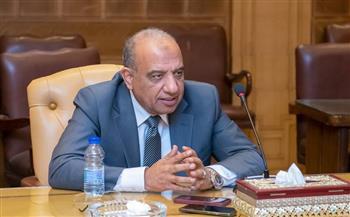 وزير الكهرباء يبحث مع "هواوي" التعاون في مشروعات الطاقة المتجددة وأنظمة التخزين