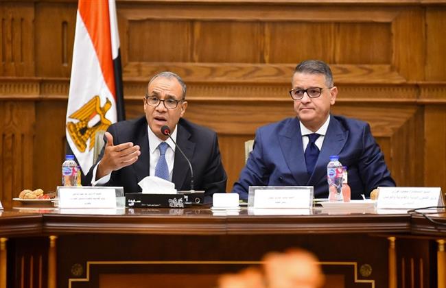 وزير الخارجية والهجرة يلتقى لجنة حقوق الإنسان بمجلس النواب