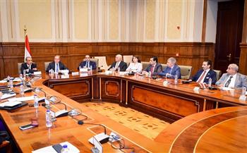 وزير الخارجية والهجرة يلتقي لجنة حقوق الإنسان بمجلس الشيوخ