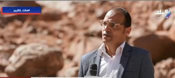 شجرة العليقة المقدسة.. عالم أثري يكشف سر وجودها منذ 3300 سنة بسانت كاترين