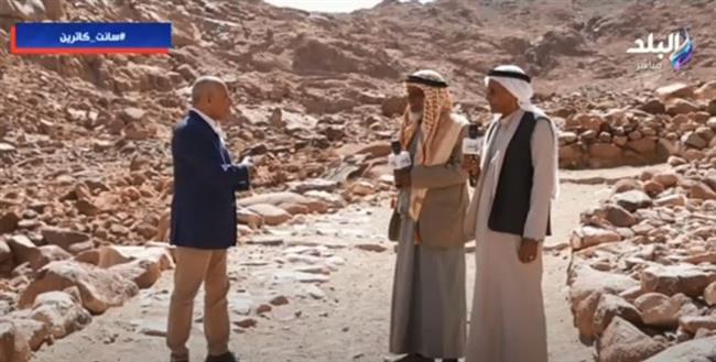 تعالج الفقرات والروماتيزم.. معلومات مثيرة عن الأعشاب المباركة في جنوب سيناء