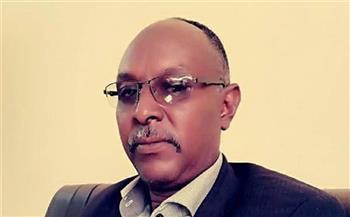 سفير السودان في فيينا يدعو إلى زيادة الضغط على المتمردين من أجل إنهاء الحرب