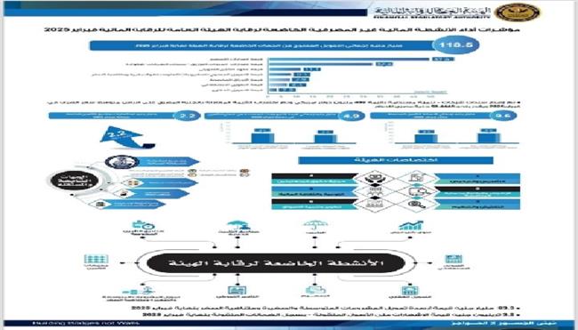 الرقابة المالية: تمويلات بـ118.5 مليار جنيه لدعم الاقتصاد المصري    