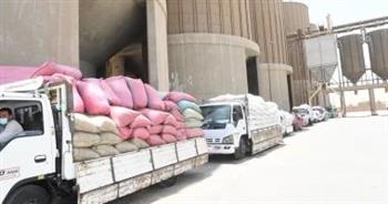 قنا: توريد أكثر من 21 ألف طن من محصول القمح للصوامع والشون
