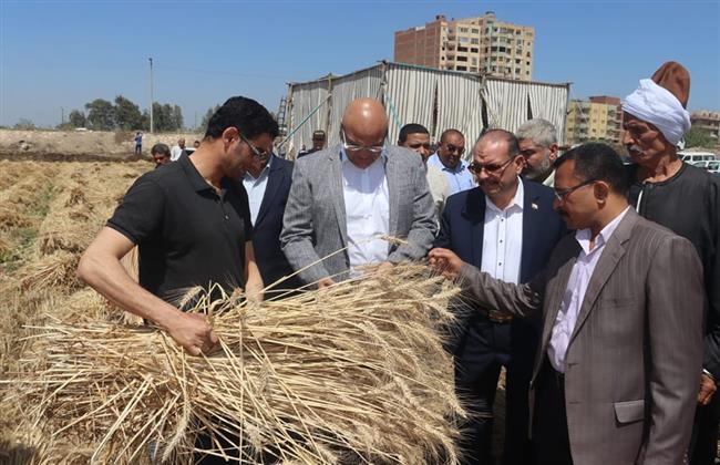 محافظ القليوبية: محصول القمح هذا العام مبشر بالخير ما يعكس الجهود المبذولة في زيادة الإنتاجية