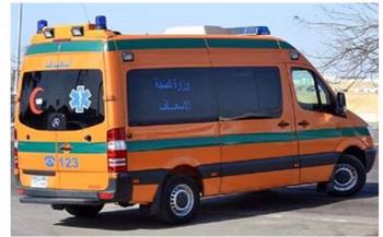 مهتزة نفسيا تطعن رئيس مجلس مدينة السنطة أثناء خروجه من العمل