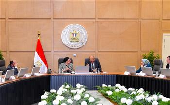 وزيرا الكهرباء والبيئة يبحثان التنسيق والتعاون في القضايا البيئية والطاقات المتجددة