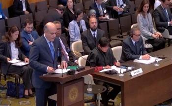 مصر تطلب رأي العدل الدولية بشأن التزامات إسرائيل كقوة قائمة بالاحتلال في الأراضي الفلسطينية المحتلة