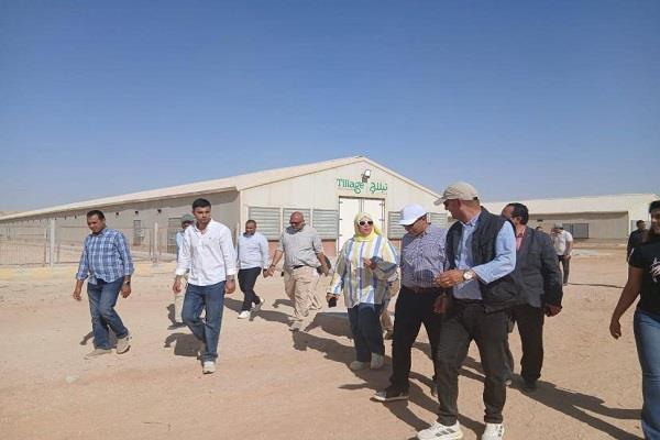 نائب محافظ المنيا: تعزيز الاستثمارات في مجال الإنتاج الداجني يمثل ركيزة أساسية لتحقيق الأمن الغذائي