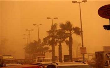متحدث "الصحة" ينصح المواطنين بعدم الخروج من المنزل غدا خاصة مرضى الحساسية