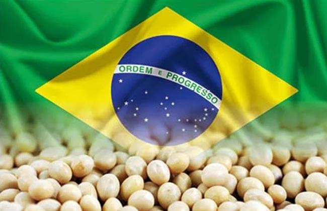 المحكمة العليا البرازيلية توجه ضربة لقرار وقف زراعة فول الصويا في الأمازون