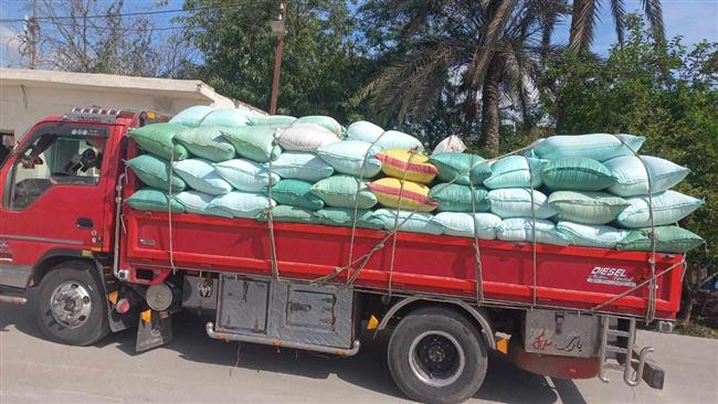 توريد 16793 طن قمح محلي إلى شون وصوامع البحيرة