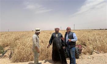 فريق "بحوث الصحراء" يواصل المرور الميداني على التجمعات الزراعية بشمال ووسط سيناء