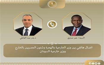 وزير الخارجية يبحث مع نظيره السوداني تعزيز العلاقات الثنائية