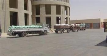 "زراعة دمياط": توريد 7 آلاف طن من الأقماح حتى الآن